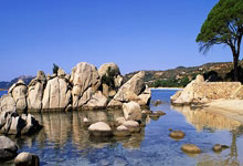 山东未命名